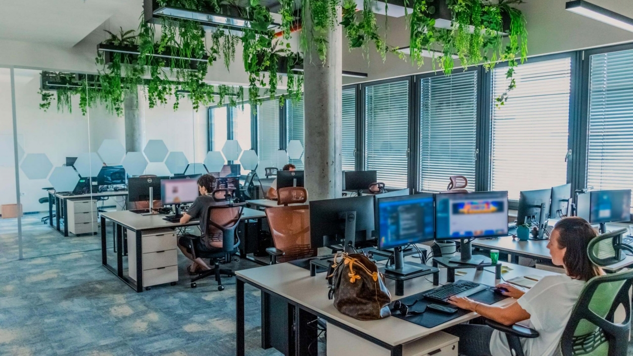 Our tem in office - photo 5