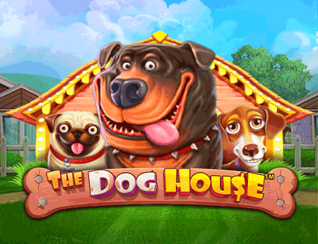 The Dog House Game Thumbnail - Fun dog-themed slot with sticky wilds